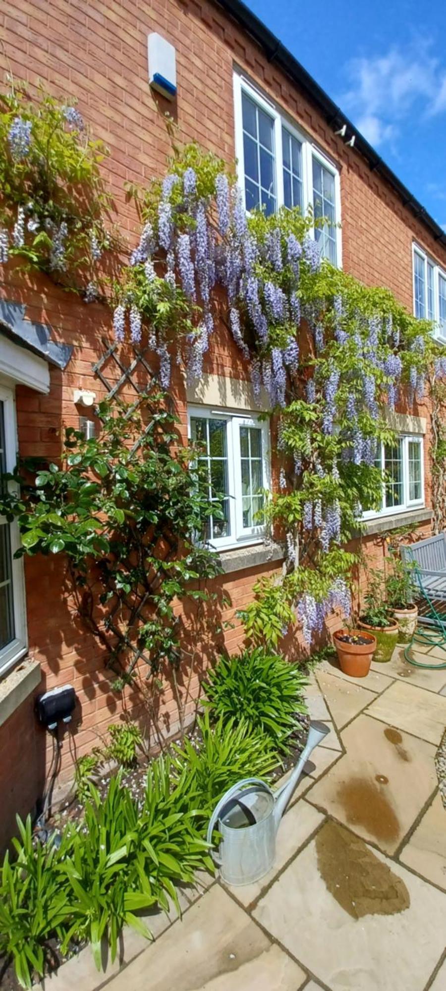 Harlequin B&B ليدبوري المظهر الخارجي الصورة